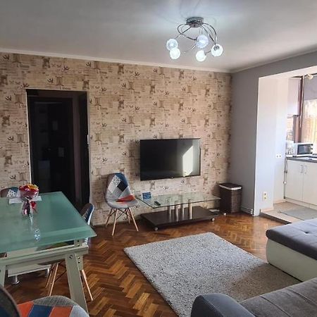 Comfort Home Apartment 1 Petroşani Eksteriør billede