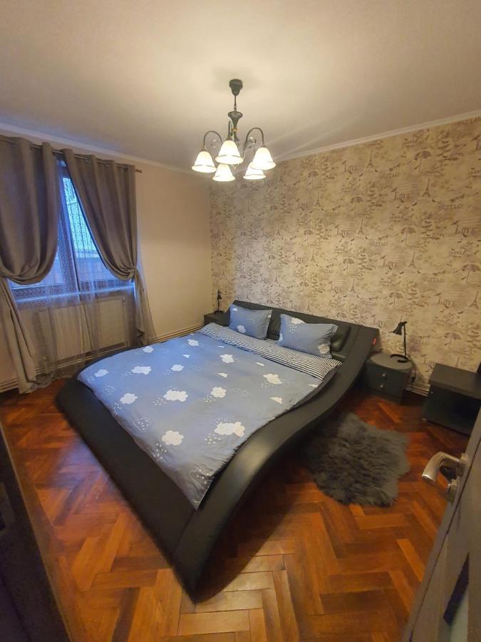 Comfort Home Apartment 1 Petroşani Eksteriør billede