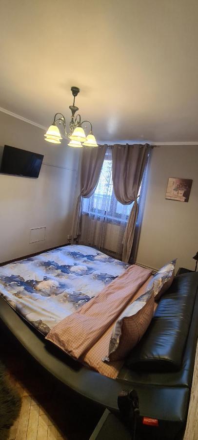 Comfort Home Apartment 1 Petroşani Eksteriør billede